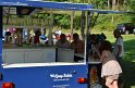 MCE Sommertreffen 2014 - 012
